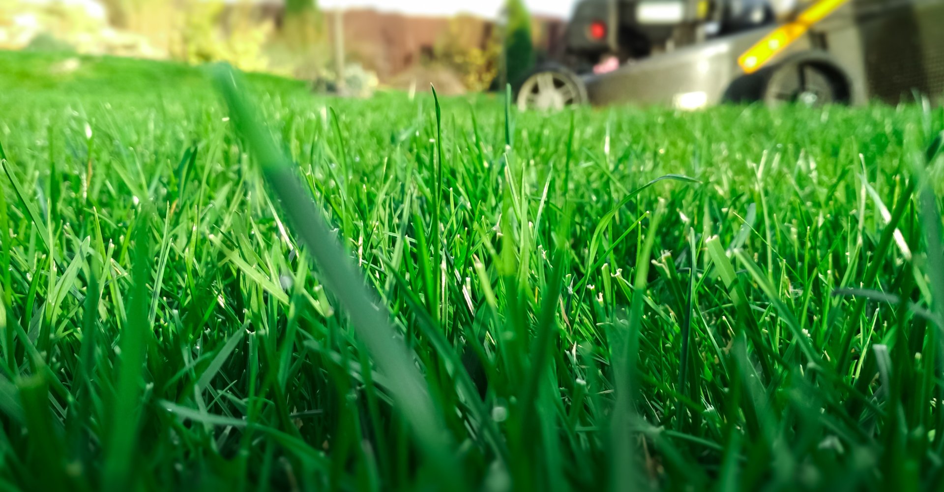 slide-background
